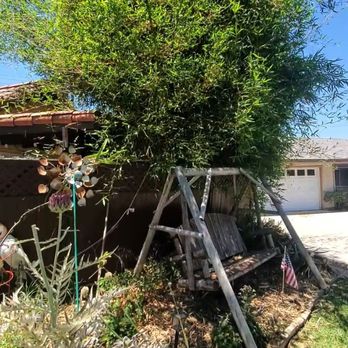 OC TREEWORX - Tree Services Near Me OC TREEWORX - Tree Services Near Me