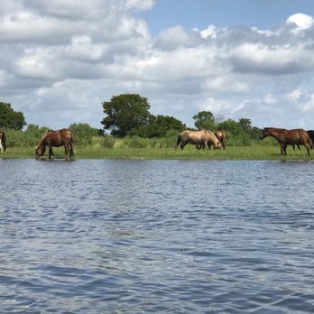 Coastal Kayak - Tours Near Me - Fenwick Island, Delaware