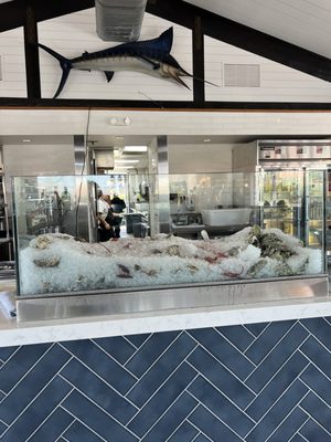 Calico Fish House by null