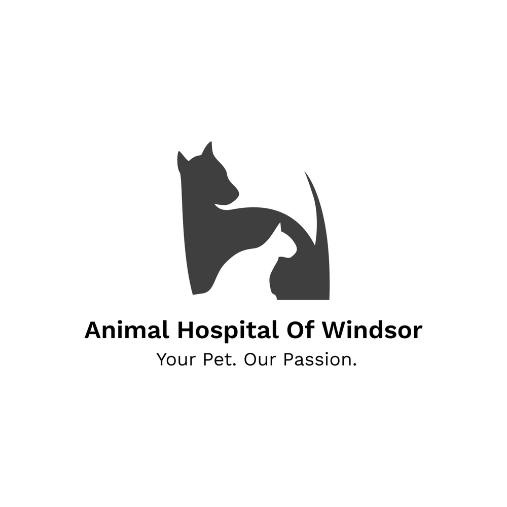 ANIMAL HOSPITAL OF WINDSOR Updated August 2024 220 Tecumseh Rd W