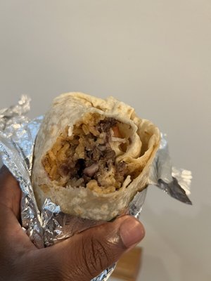 Hungry Coyote by null
