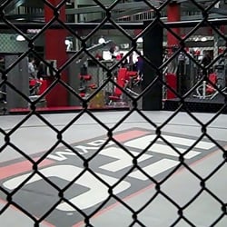 UFC GYM Concord - Shot of the Octogan on the 1st floor