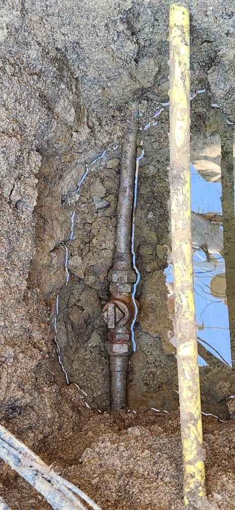 Slide of Koda's Plumbing