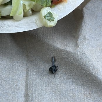 Chipotle Mexican Grill - Dead fly - Mexican Near Me - Folsom, California