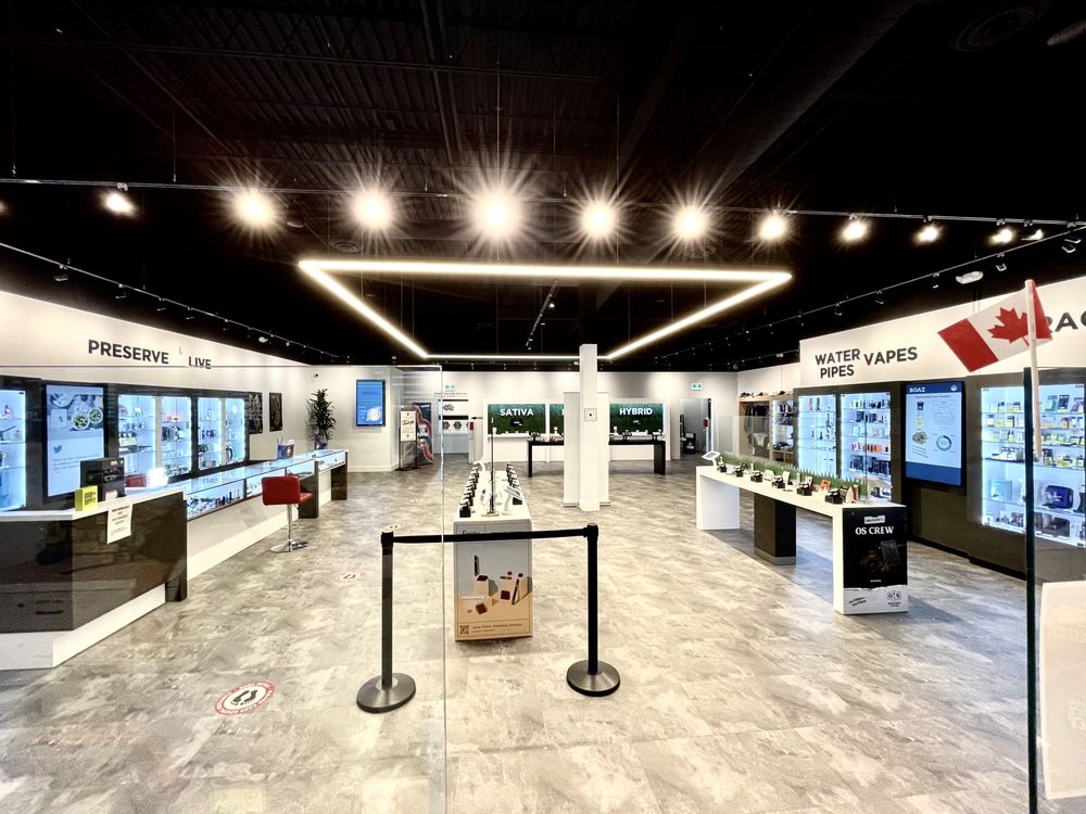 WONDER BUDS CANNABIS Updated September 2024 43 Photos 4635A