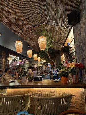 Elephant Ear by null