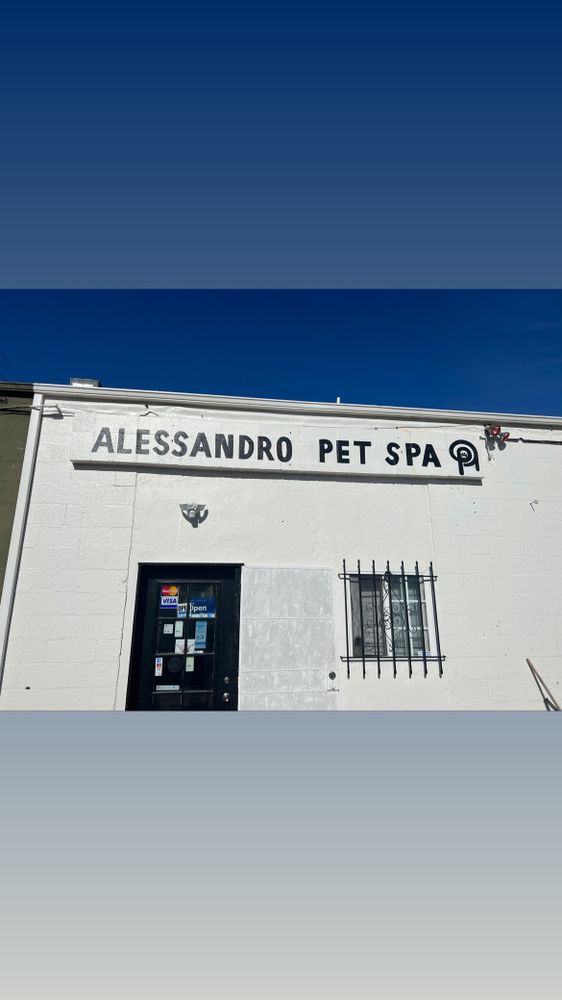 ALESSANDRO PET SPA 617 Photos & 367 Reviews Pet Groomers 4619