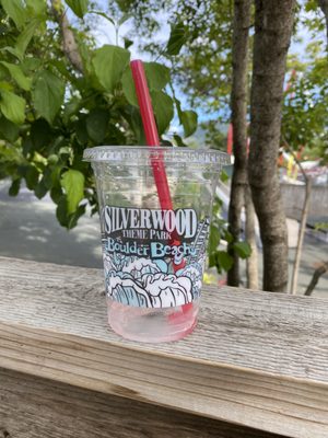 Silverwood Theme Park by null