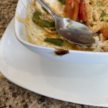 Bangkok Thai Cuisine - Thai Near Me - Houston, Texas