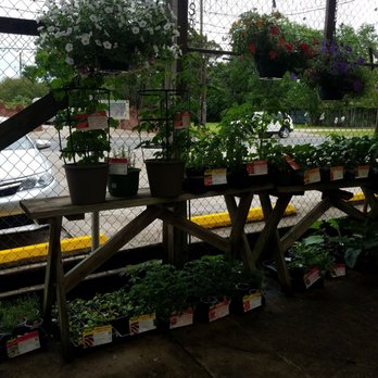 Highland ACE Hardware & Garden - Plants - Hardware Stores Near Me - Baton Rouge, Louisiana Highland ACE Hardware & Garden - Plants - Hardware Stores Near Me - Baton Rouge, Louisiana