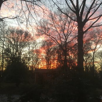 Aguilar Tree and Landscaping Service - Trimmed trees! - Tree Services Near Me - Culpeper, Virginia