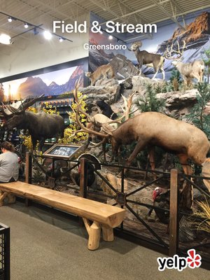 Sportsman's Warehouse by null