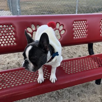 Bark Park - Dog Parks Near Me - Big Bear Lake, California