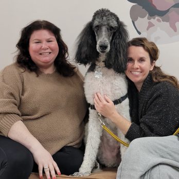Zoomies Pet Cafe - Gift Shops Near Me - St. Louis, Missouri Zoomies Pet Cafe - Gift Shops Near Me - St. Louis, Missouri