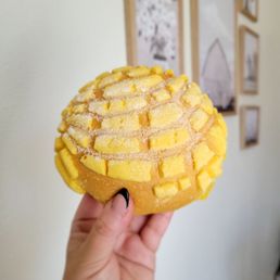 Conchas