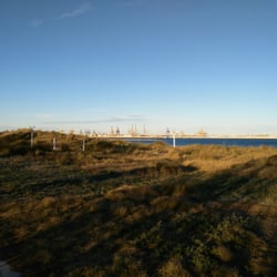 Platja de l'Albre del Gos