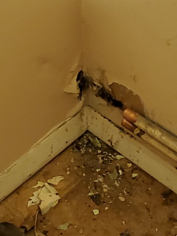 Slide of Bennett Sewer & More