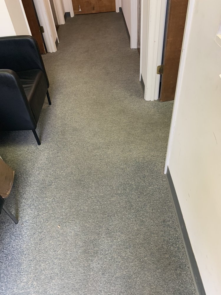 KIWI SERVICES Updated September 2024 93 Photos & 60 Reviews 1400