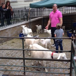 Richmond Farmers Market - Animal petting