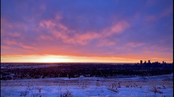 Nose Hill Park by null