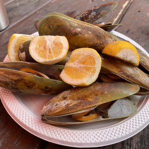 BLACK RABBIT PIZZA - 17 Beach Road, Kaikoura, Canterbury, New Zealand ...