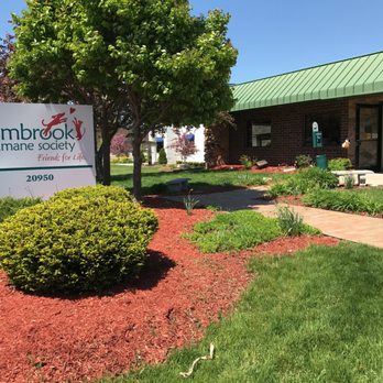 Elmbrook Humane Society - Animal Shelters Near Me - Brookfield, Wisconsin Elmbrook Humane Society - Animal Shelters Near Me - Brookfield, Wisconsin
