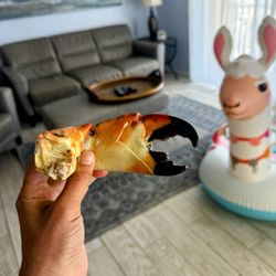 Nachman's Seafood Market & Smokehouse - JUMBO stone claws!!!!
