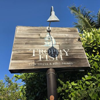 Trophy Fish - Seafood Near Me - Saint Petersburg, Florida Trophy Fish - Seafood Near Me - Saint Petersburg, Florida