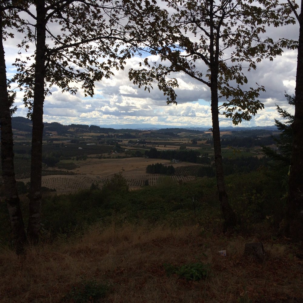 View from the tasting room patio. View from the tasting room patio.