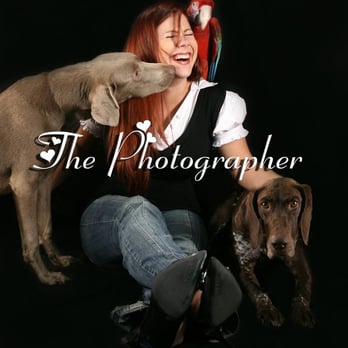 Pink Parrot Pet Photography - Candace Zynda- Chicago Pet Photographer at Pink Parrot Photo- Pet Photography Studio: http://www.PinkParrotGallery.com - Pet Photography Near Me Pink Parrot Pet Photography - Candace Zynda- Chicago Pet Photographer at Pink Parrot Photo- Pet Photography Studio: http://www.PinkParrotGallery.com - Pet Photography Near Me