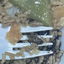roach in my food roach in my food