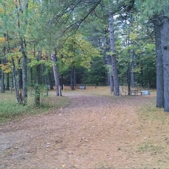 Pigeon River State Forest Campground - Campgrounds Near Me - Vanderbilt, Michigan Pigeon River State Forest Campground - Campgrounds Near Me - Vanderbilt, Michigan