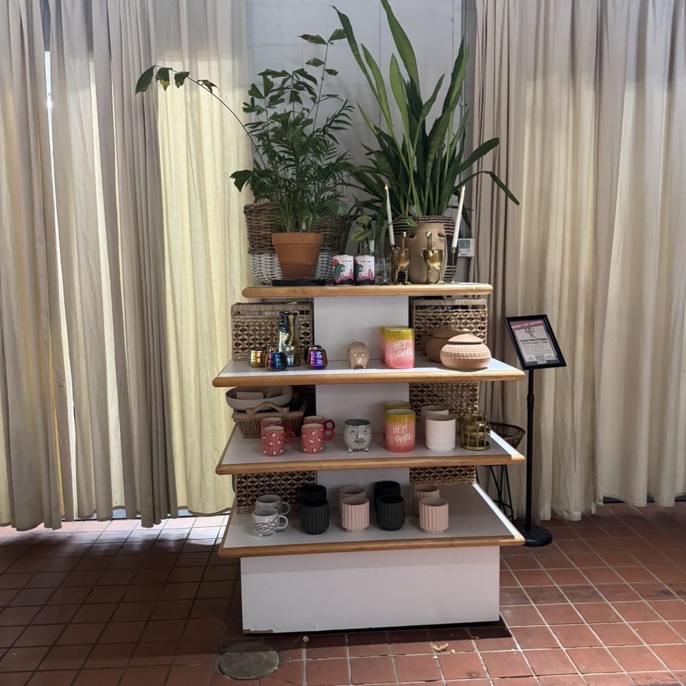 Black Phin - Coffee & Tea Near Me - Winter Park, Florida Black Phin - Coffee & Tea Near Me - Winter Park, Florida