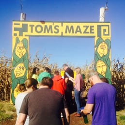 Tom's Maze entrance Tom's Maze entrance