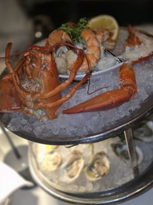 NYY Steak (in Seminole Casino Coconut Creek) by null