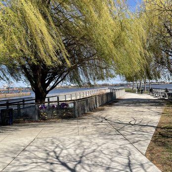 Pier 68 - Mid-way on the pier, picnic tables on the right - Parks Near Me - Philadelphia, Pennsylvania Pier 68 - Mid-way on the pier, picnic tables on the right - Parks Near Me - Philadelphia, Pennsylvania