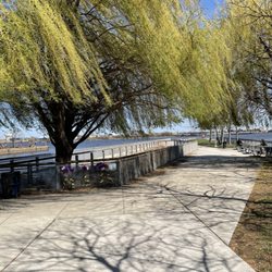 Pier 68 - Mid-way on the pier, picnic tables on the right