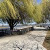 Pier 68 gift card