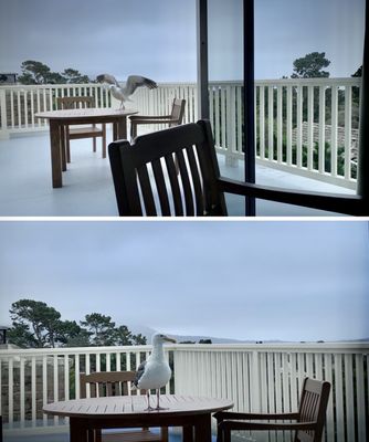 Carmel-By-The-Sea by null