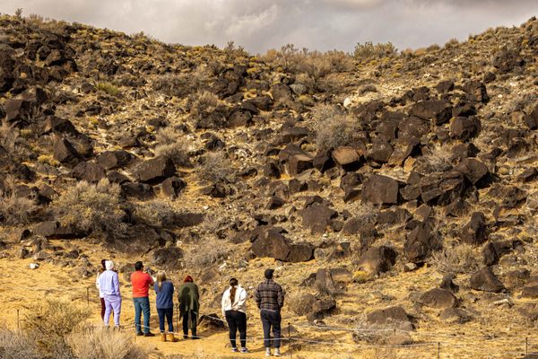 Petroglyph National Monument by null