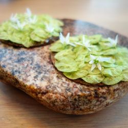 Gastrologik - 05/25/18 Gastrologik - Tunnbrod with Smoked Herring, Shoots, Herbs