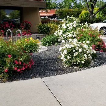 Shari's Cafe and Pies - Pretty! - American Near Me - Meridian, Idaho Shari's Cafe and Pies - Pretty! - American Near Me - Meridian, Idaho