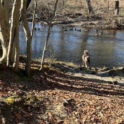 Eisenhower Park