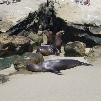 La Jolla Cove - Parks Near Me - La Jolla, California La Jolla Cove - Parks Near Me - La Jolla, California