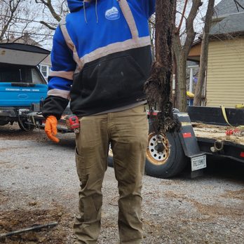 317 Plumber - Root intrusion is especially common in older homes with clay or cast iron sewer lines- we are here to help. - Plumbing Near Me - Fishers, Indiana 317 Plumber - Root intrusion is especially common in older homes with clay or cast iron sewer lines- we are here to help. - Plumbing Near Me - Fishers, Indiana