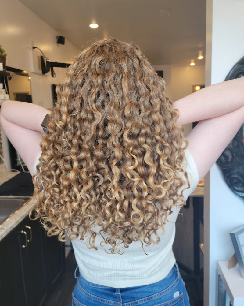 Aceofcurls Logo