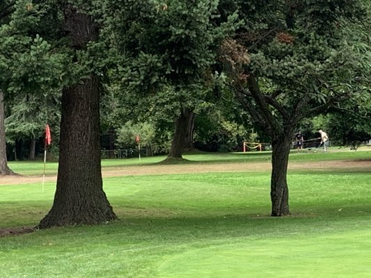 Green Lake Pitch & Putt by null