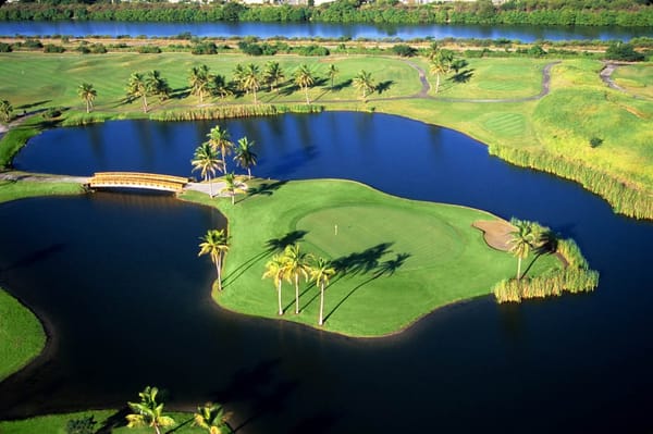 Hilton Ponce Golf & Casino Resort by null