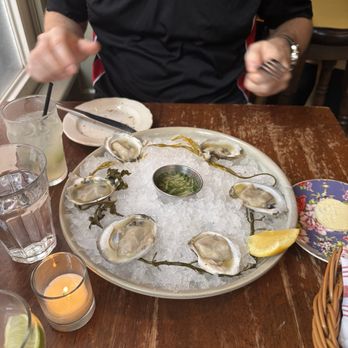 The Dandelion - Happy hour oysters - Gastropubs Near Me - Philadelphia, Pennsylvania The Dandelion - Happy hour oysters - Gastropubs Near Me - Philadelphia, Pennsylvania