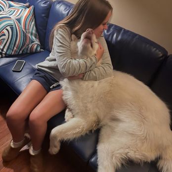 Wags Pet Retreat - He is home now - Pet Boarding Near Me - Nicholasville, Kentucky Wags Pet Retreat - He is home now - Pet Boarding Near Me - Nicholasville, Kentucky